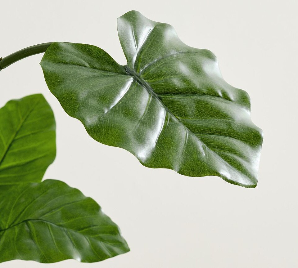 Faux Potted Houseplant Pottery Barn Australia
